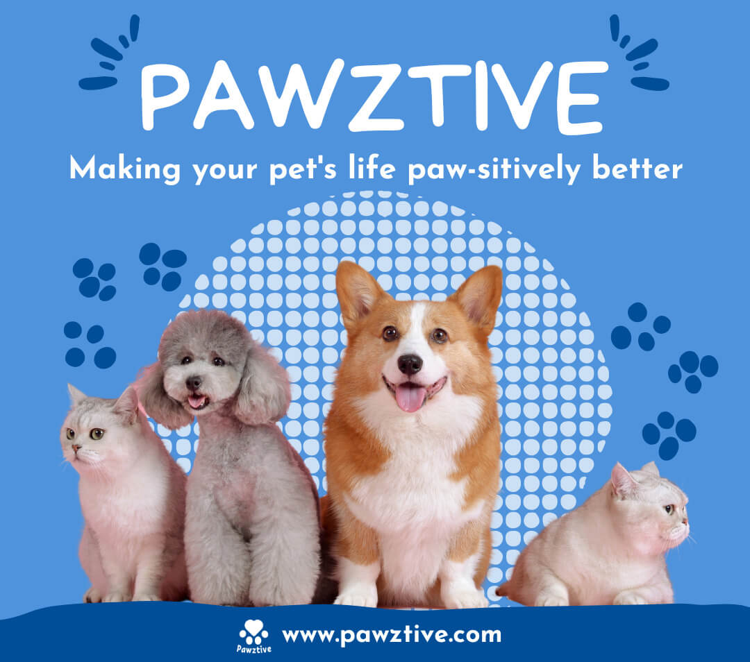 Pawztive about us pic